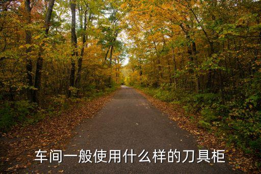 车间一般使用什么样的刀具柜
