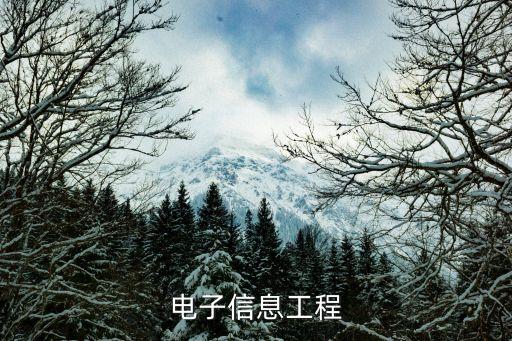 电子信息工程