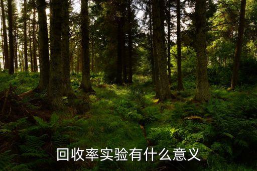 回收率实验有什么意义