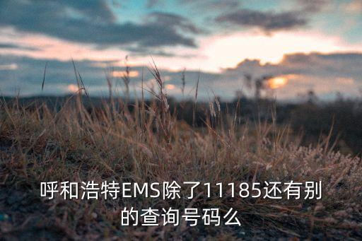 呼和浩特EMS除了11185还有别的查询号码么