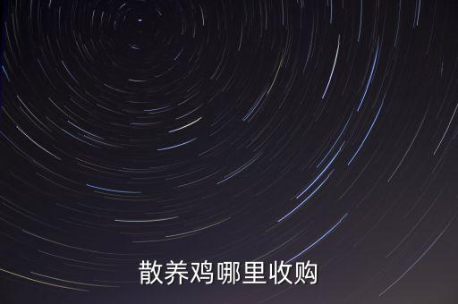 散养鸡哪里收购