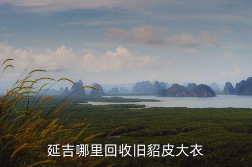 二手貂皮大衣回收，延吉哪里回收旧貂皮大衣