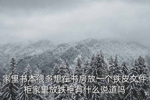 家里书本很多想在书房放一个铁皮文件柜家里放铁柜有什么说道吗