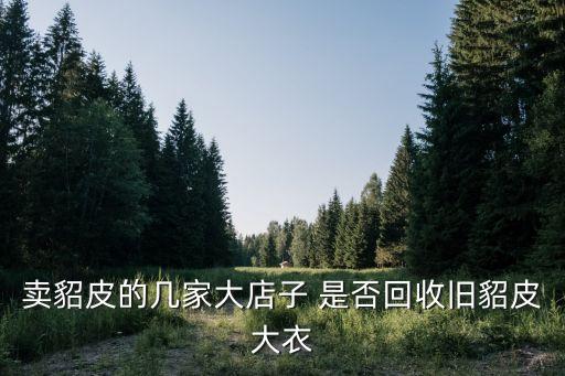 卖貂皮的几家大店子 是否回收旧貂皮大衣