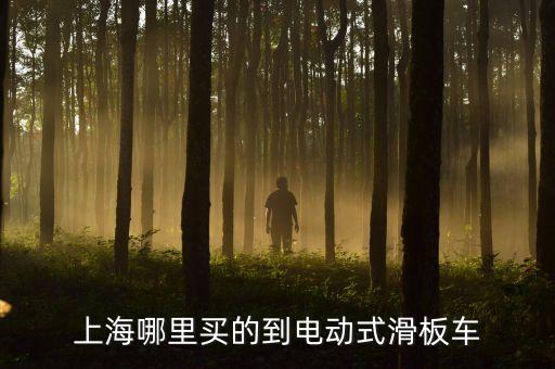 上海哪里买的到电动式滑板车