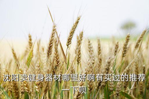 沈阳卖健身器材哪里好啊有买过的推荐一下呗