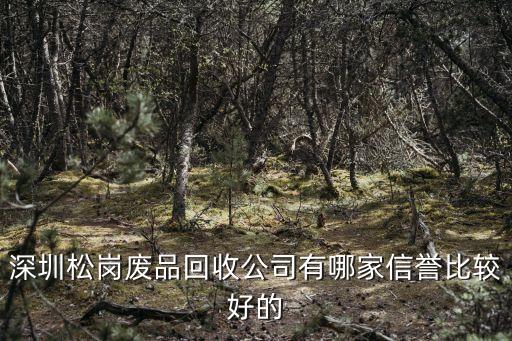 深圳松岗废品回收公司有哪家信誉比较好的