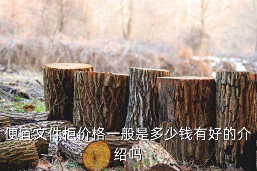 便宜文件柜价格一般是多少钱有好的介绍吗