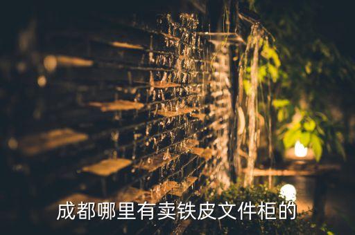 成都哪里有卖铁皮文件柜的