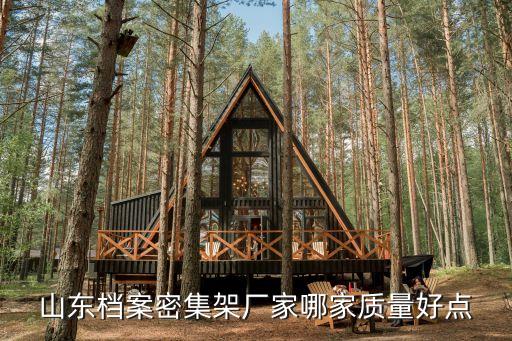 档案密集架厂家排名，山东档案密集架哪家最专业