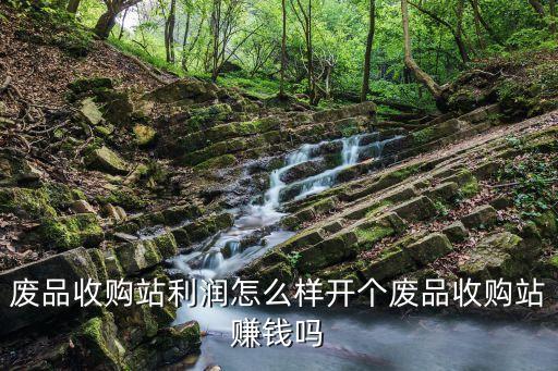 废品收购站利润怎么样开个废品收购站赚钱吗