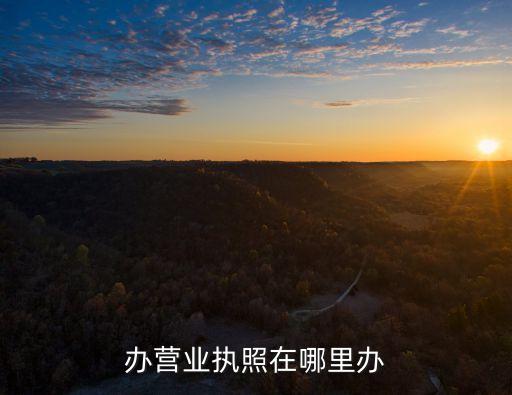 办营业执照在哪里办
