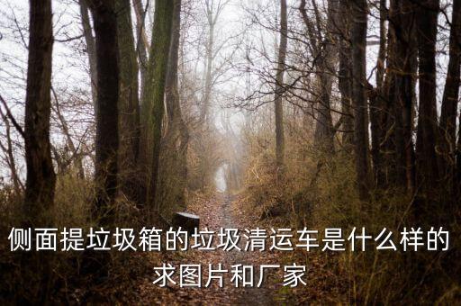 侧面提垃圾箱的垃圾清运车是什么样的求图片和厂家
