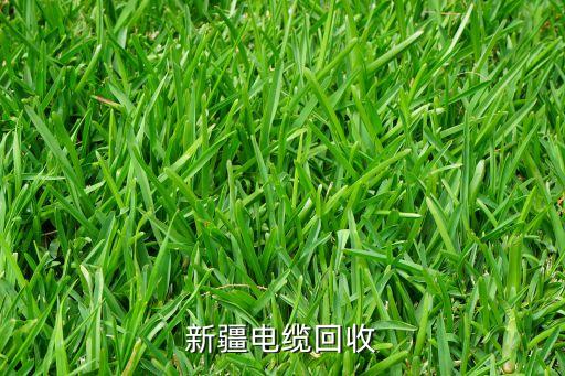 新疆电缆回收