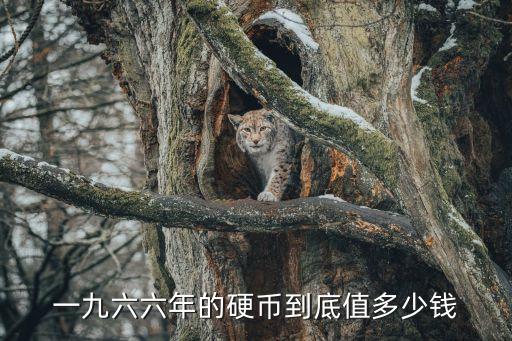 一九六六年的硬币到底值多少钱