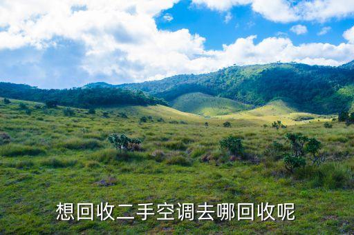 怎么在网上回收旧家电，我有个二手电器在网上怎么卖呢