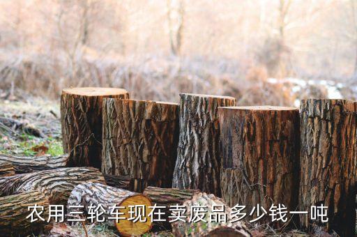 废品三轮车多少钱一斤，农用三轮车现在卖废品多少钱一吨