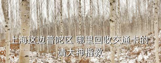上海这边普陀区 哪里回收交通卡的 请大神指教