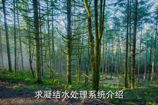 求凝结水处理系统介绍