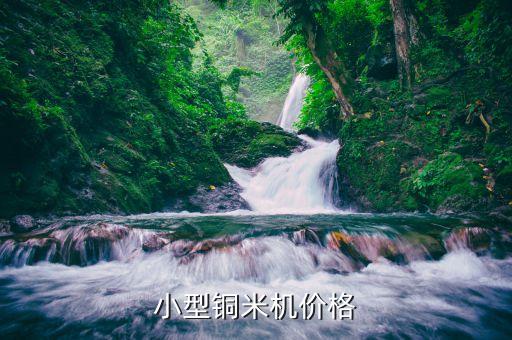 小型铜米机价格