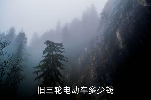 旧三轮电动车多少钱