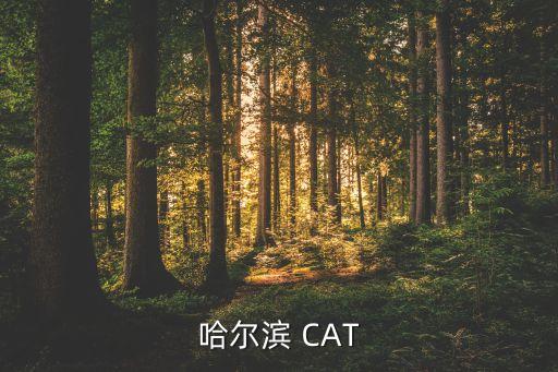 哈尔滨 CAT