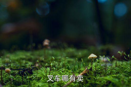 叉车哪有卖