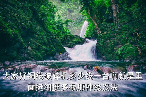 剥铜线的机器多少钱，有剥废电线机吗小型的多少钱
