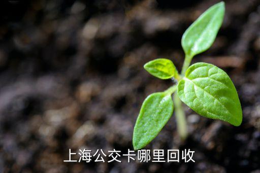上海公交卡哪里回收