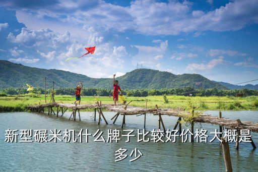最先进的打米机，新型碾米机什么牌子比较好价格大概是多少