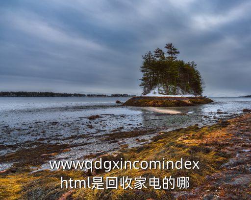 wwwqdgxincomindexhtml是回收家电的哪