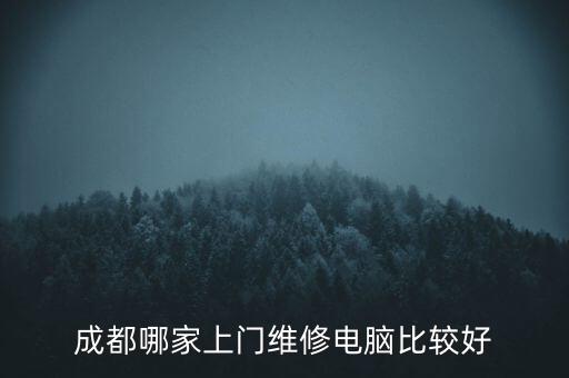 成都哪家上门维修电脑比较好