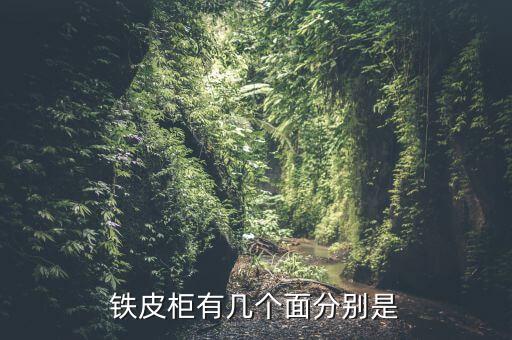 铁皮柜有几个面分别是