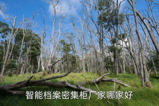智能档案密集架生产厂家，求口碑好的档案密集柜生产厂家