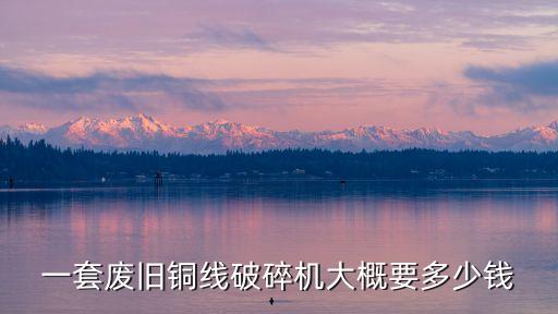一套废旧铜线破碎机大概要多少钱