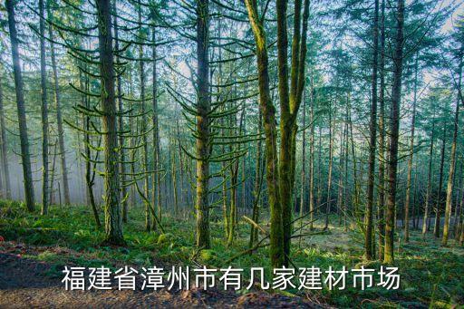 福建省漳州市有几家建材市场