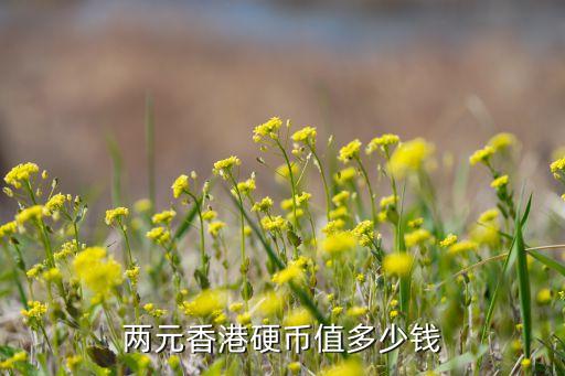两元香港硬币值多少钱