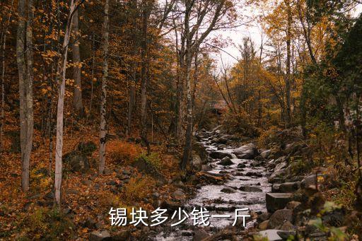 哪里有回收锡多少一斤，现在废品锡多少钱一KG