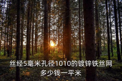 镀锌铁丝网多少钱一个平方，5号镀锌铁丝网多少钱一平米孔尺寸80mm80mm