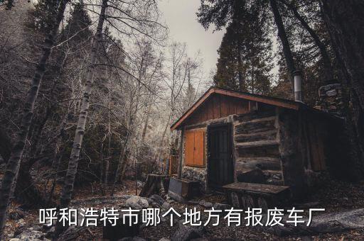 呼和浩特市哪个地方有报废车厂