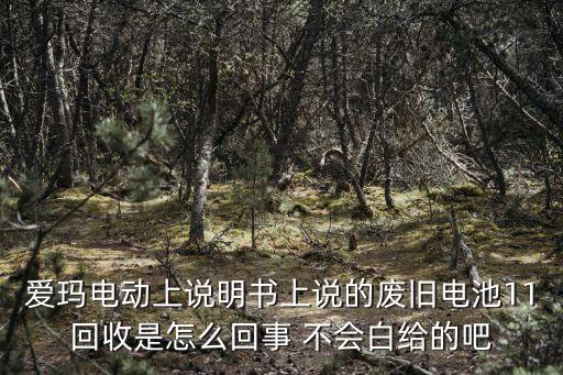 爱玛电动上说明书上说的废旧电池11回收是怎么回事 不会白给的吧
