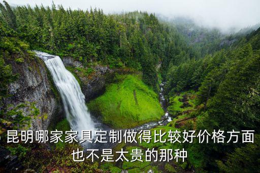 昆明哪家家具定制做得比较好价格方面也不是太贵的那种