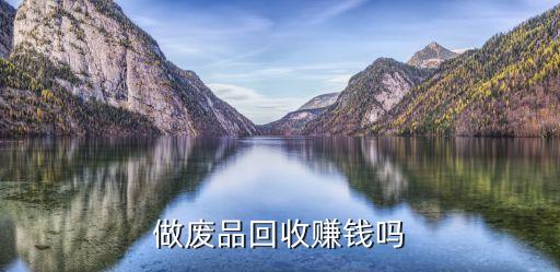 做废品回收赚钱吗