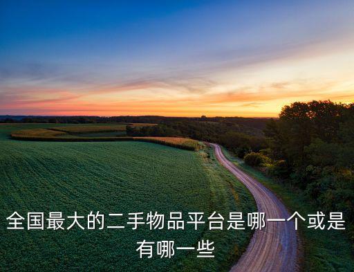 中国废旧物资网网站有哪些，全国最大的二手物品平台是哪一个或是有哪一些
