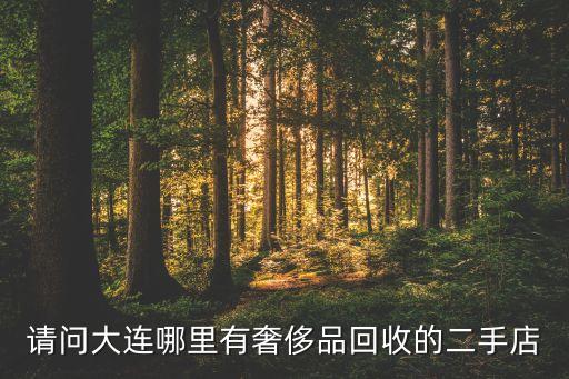 请问大连哪里有奢侈品回收的二手店