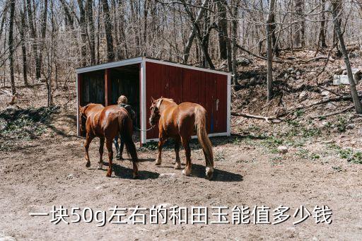 一块50g左右的和田玉能值多少钱