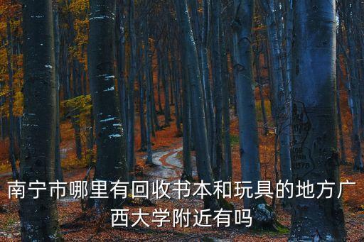 南宁废品回收站有几家啊，南宁哪里有大型的废品回收站