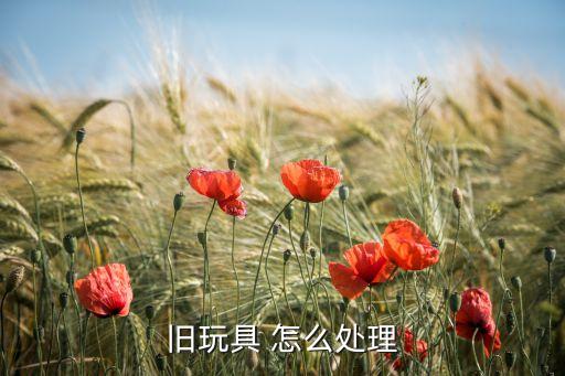 旧玩具 怎么处理