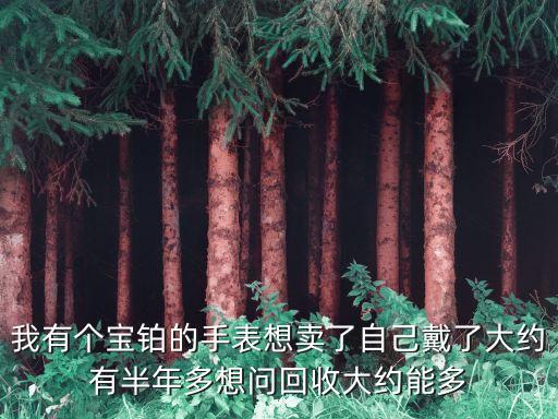我有个宝铂的手表想卖了自己戴了大约有半年多想问回收大约能多