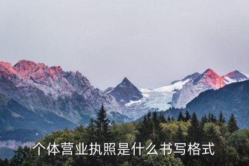 个体营业执照是什么书写格式